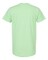 Adult T-Shirt, Ring-Spun Cotton Tee with Smooth Print Surface